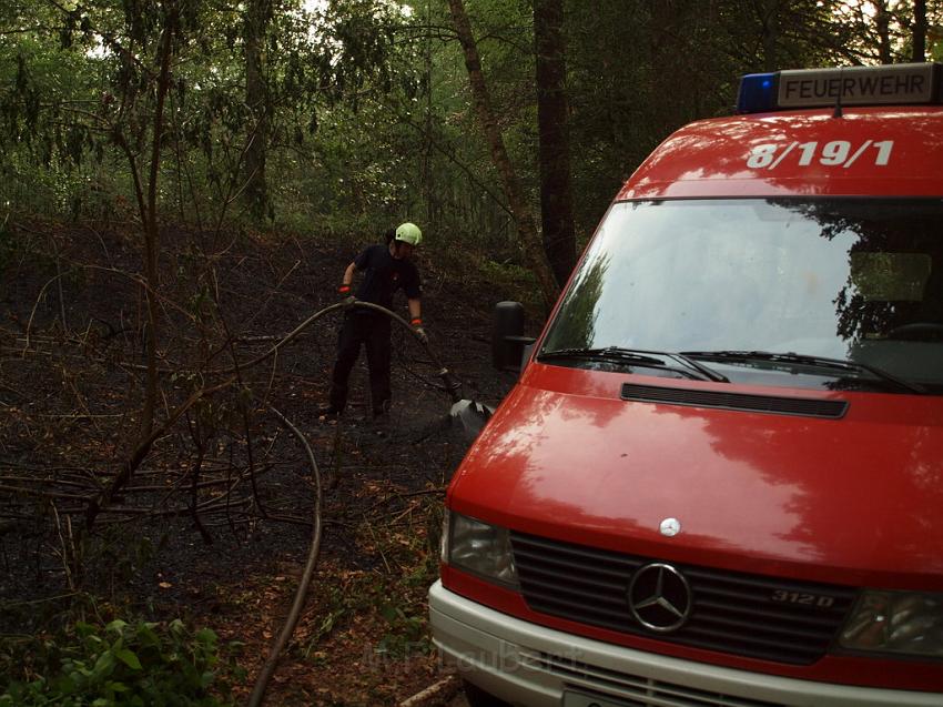 Waldbrand Bergisch Gladbach Bensberg P060.JPG